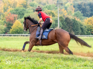 AK021025-62 - Believitanducan